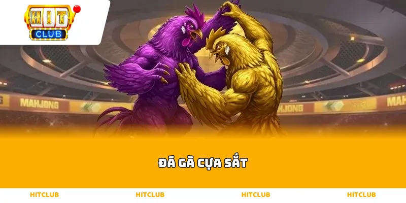 đá gà cựa sắt
